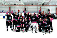 "Vice" Hockey Champions